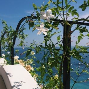 Meet your Posher, Hope